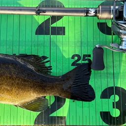 スモールマウスバス