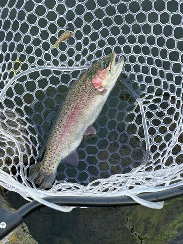 那珂川（茨城〜栃木）