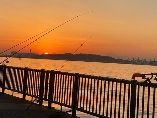 若洲海浜公園海釣り施設