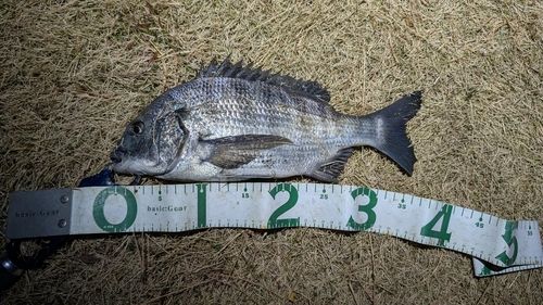 東京湾（アクアライン〜富津）