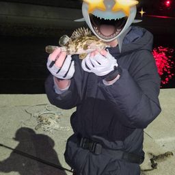 タケノコメバル