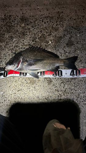 碧南海釣り公園