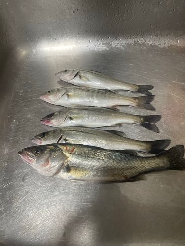 千葉港中央埠頭