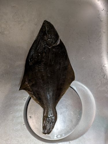 東京湾（アクアライン以北）