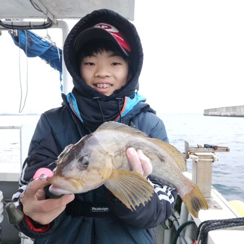 三陸海岸（青森）