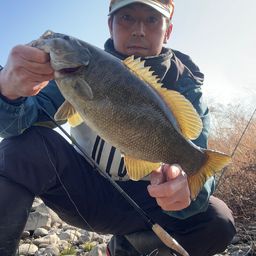 スモールマウスバス