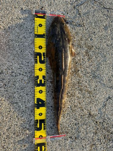 新舞子マリンパーク