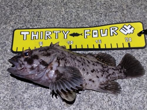 三陸海岸（岩手）