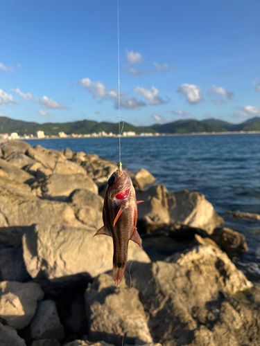 21世紀の森ビーチ