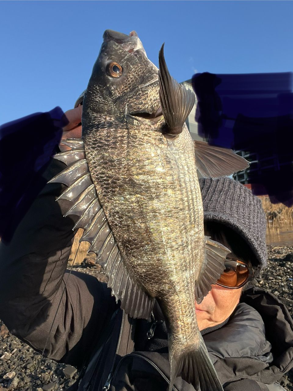 DAIWA 20ラテオ モバイル 90ML-4の最安値・インプレ・釣果 | 本音の