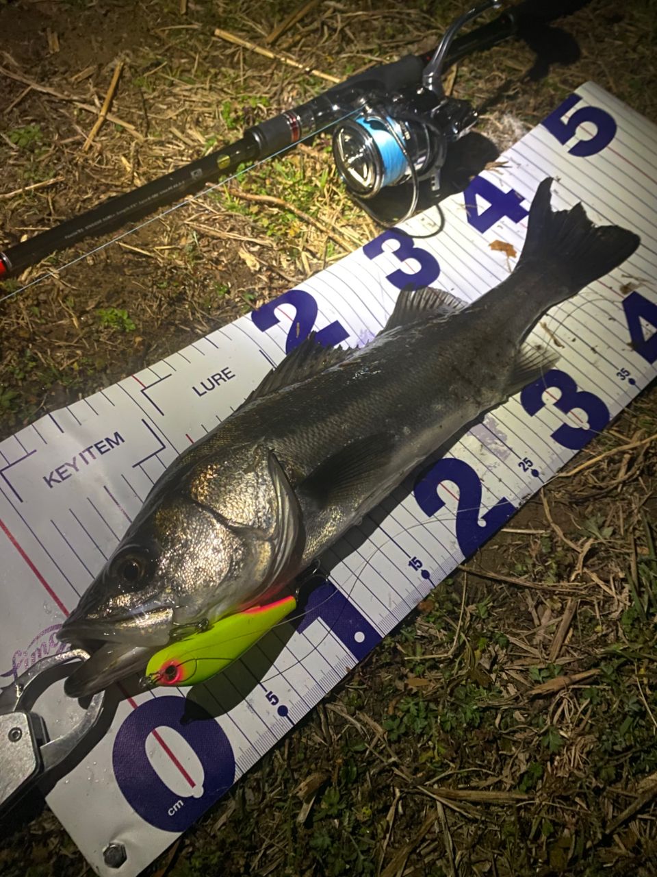 DAIWA 18イグジスト LT4000-CXHの最安値・インプレ・釣果 | 本音の