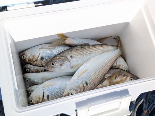 本牧海づり施設