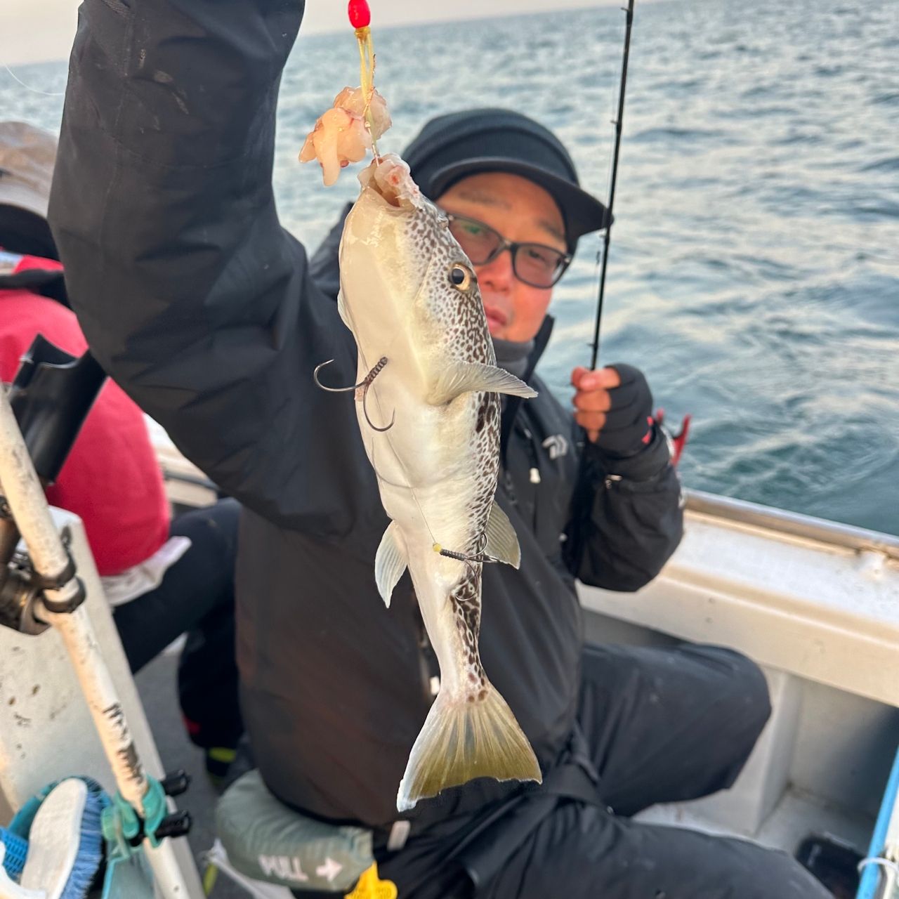 ショウサイフグ