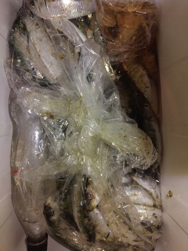 小名浜港アクアマリンふくしま周辺