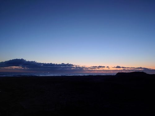 カタクチイワシの釣果