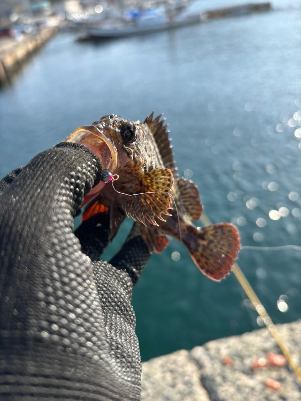 AbuGarcia ズームサファリ ZMSS-605Lの最安値・インプレ・釣果 | 本音