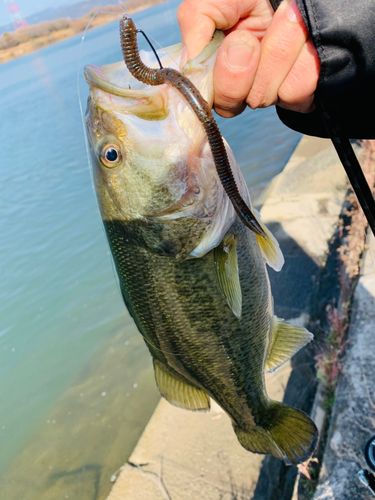 淀川天野川合流