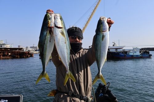 ハマチの釣果