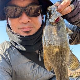 スモールマウスバス