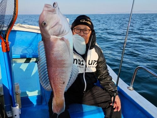 アマダイの釣果