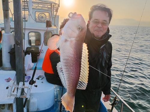 アマダイの釣果