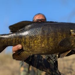 スモールマウスバス