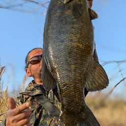 スモールマウスバス