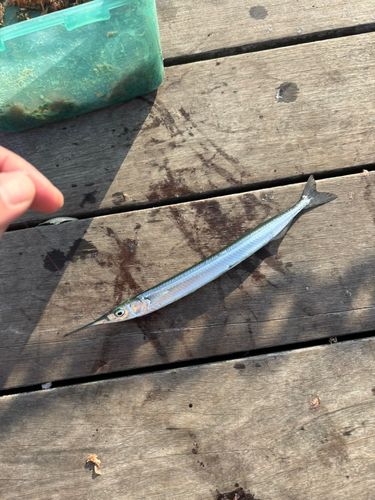 小名浜港アクアマリンふくしま周辺