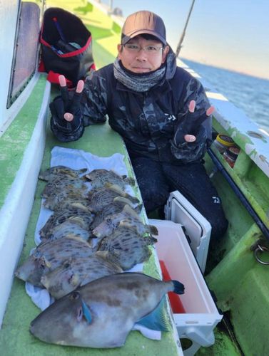カワハギの釣果