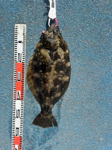 新地町海釣り公園