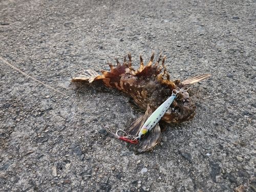 アジュール舞子