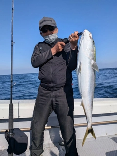 ブリの釣果