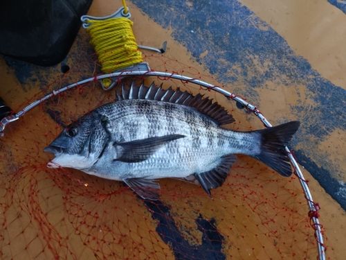 大黒海づり施設