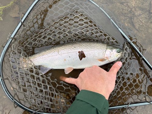 五頭フィッシングパーク