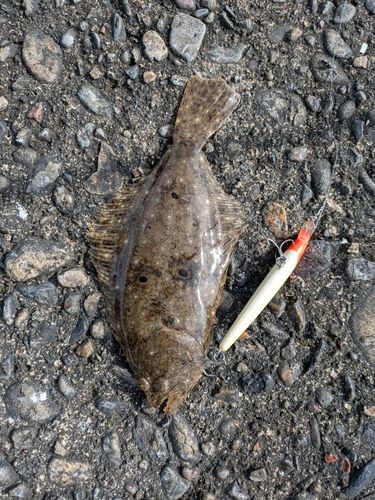 北川河口（宮崎）