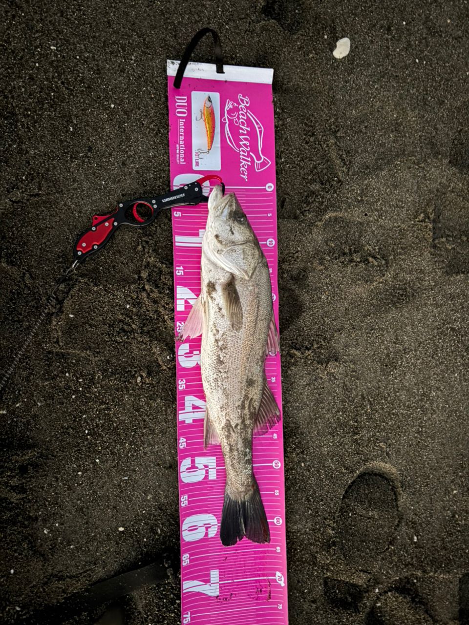 DAIWA 21オーバーゼア グランデ（サーフモデル） 109ML/Mの最安値