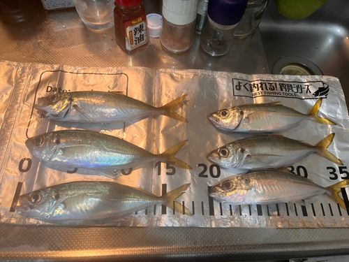 本牧海づり施設