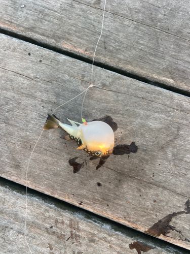 小名浜港アクアマリンふくしま周辺