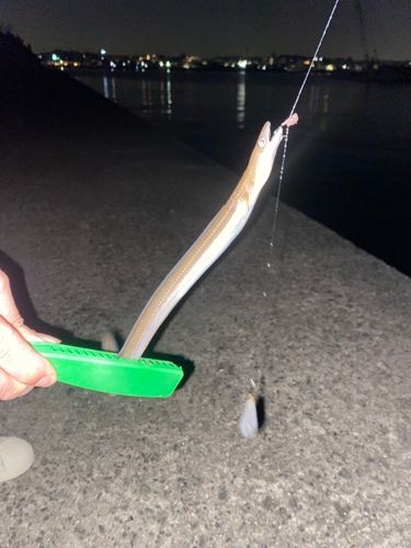 セントレア常滑港前島