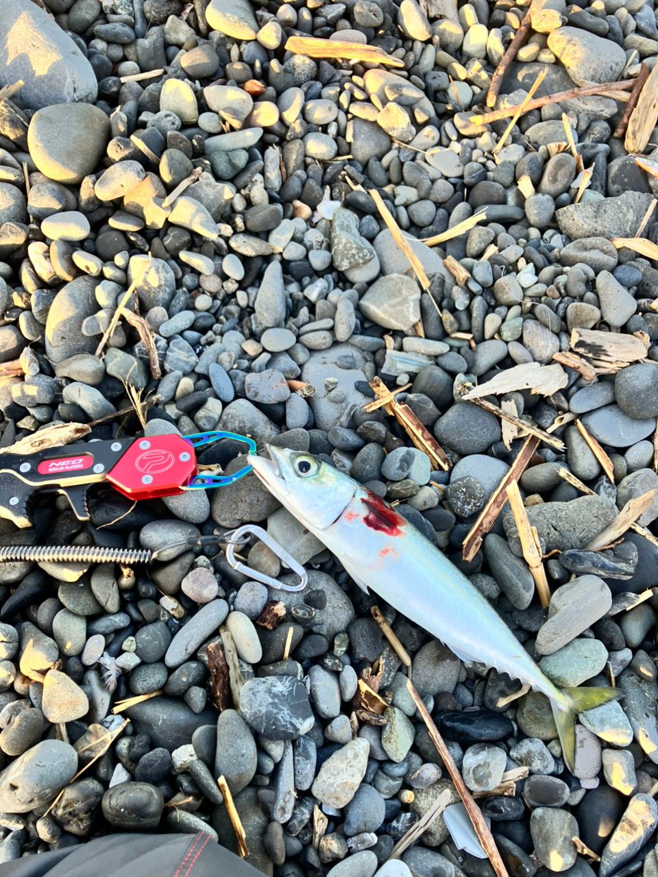 Gamakatsu ラグゼ チータ R3 96Mの最安値・インプレ・釣果 | 本音の