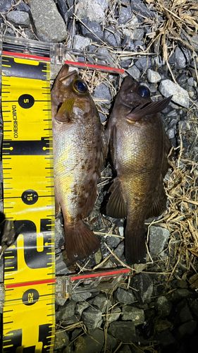 三陸海岸（宮城）