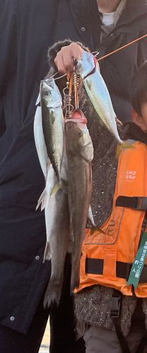 尼崎市立魚つり公園