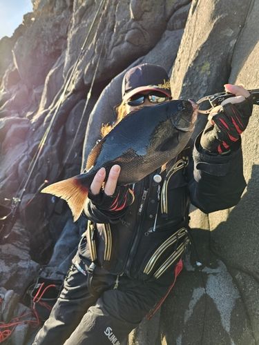 三ツ石（真鶴）