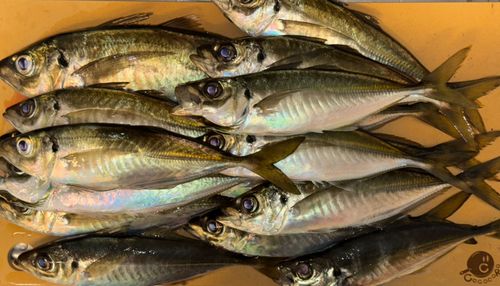 小名浜港アクアマリンふくしま周辺