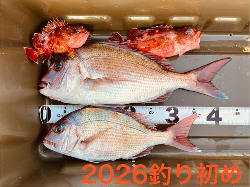 沖ノ島（和歌山）