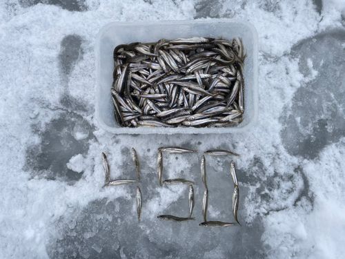 大沼（北海道）