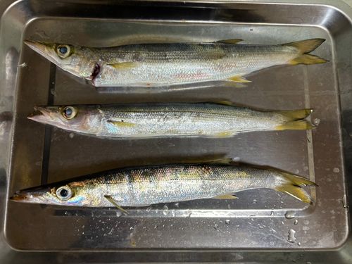 東京湾（富津〜金谷）