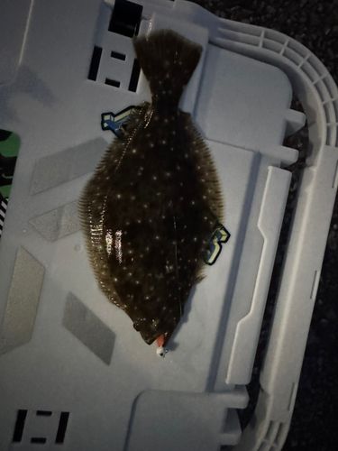 みやざき臨海公園