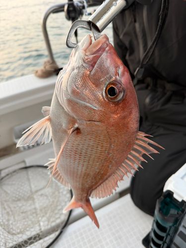 田之浦港（倉敷）