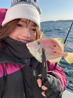 カワハギの釣果